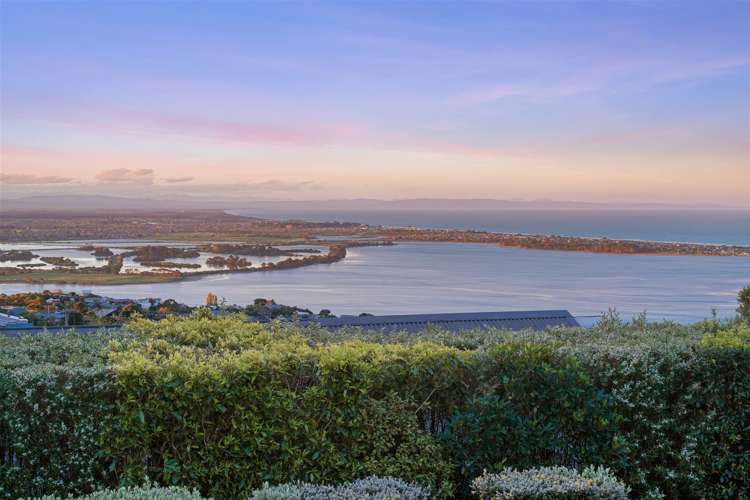 15 Belleview Terrace Mount Pleasant_2