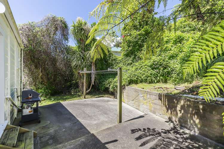 209 Aro Street Aro Valley_18
