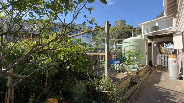 11 Firth View Road Te Puru_33