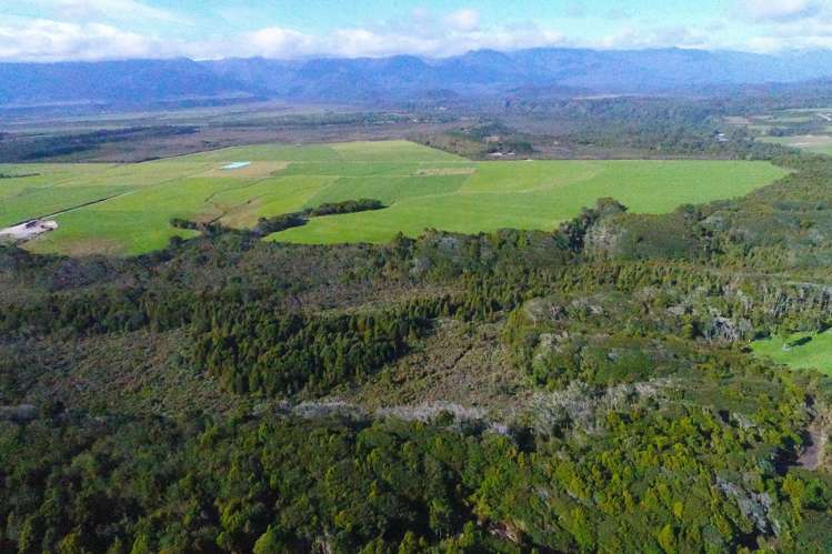 5/1290 Tanglefern Row Charleston_1