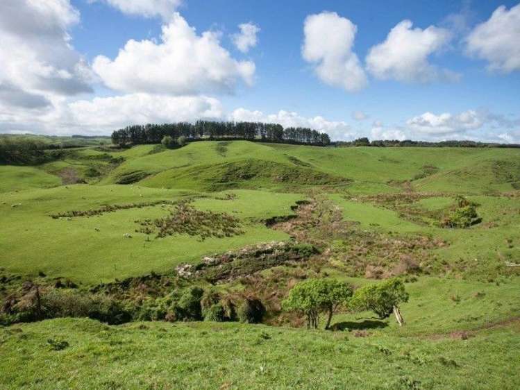 450 Ngapaenga Road Pomarangai_16