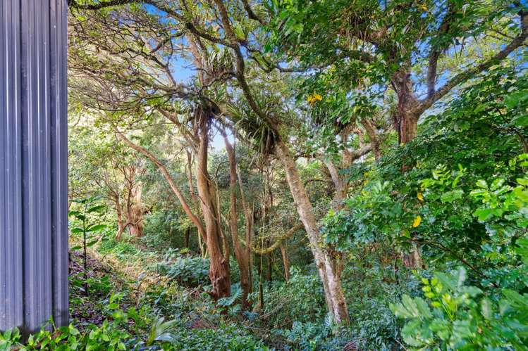 17 Kotare Crescent Maunu_27