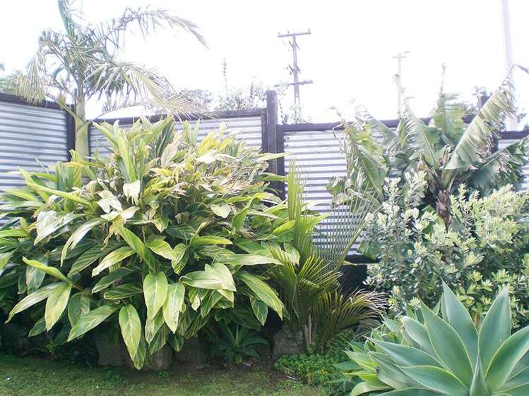 31 Tawa Road Onehunga_9