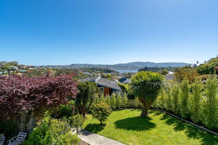 53 Spottiswoode Street Tainui_17