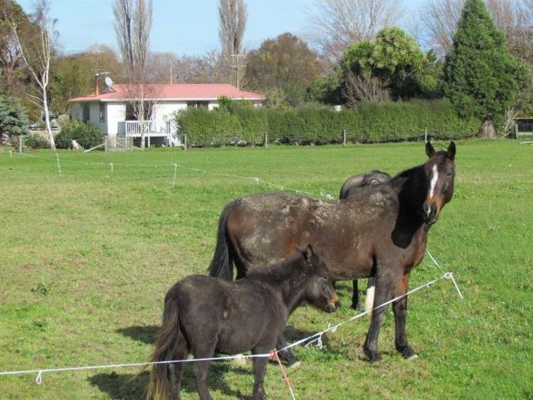 14 Wakefield Street Tuamarina_4