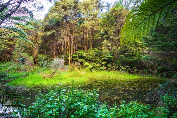 921 Pataua North Road Whareora_36