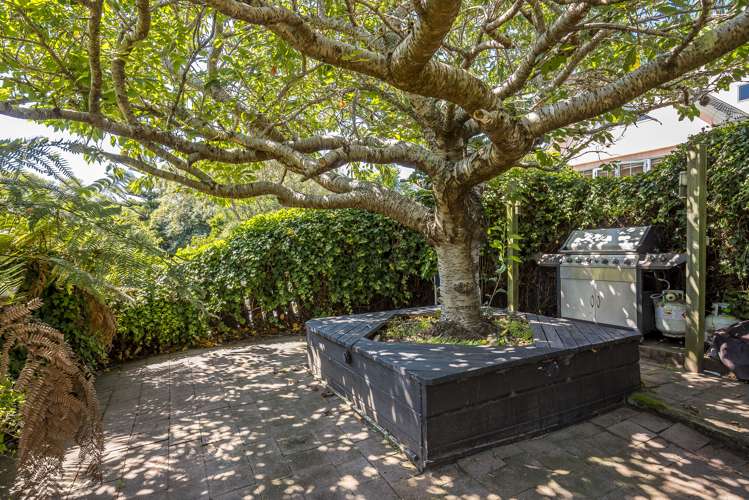 21 Wood Leigh Paraparaumu Beach_21