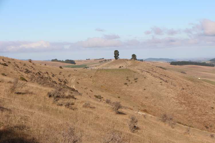 Mt Michael Valley Road Fairlie_12