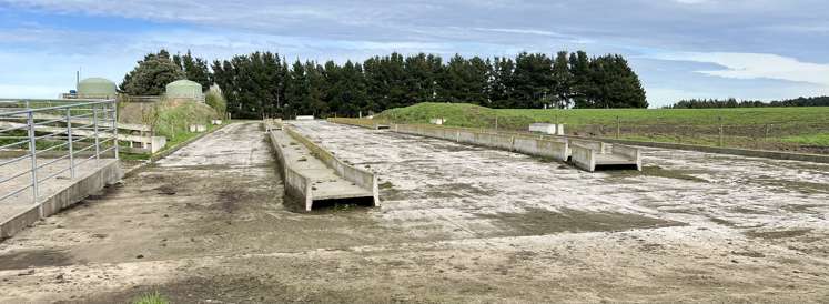 149 Paerewa Road Waverley_7