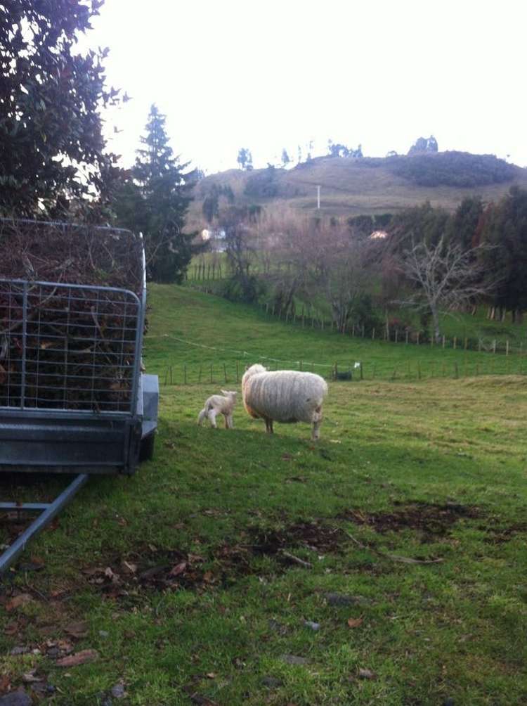 65g Fryer Road Hamurana_4