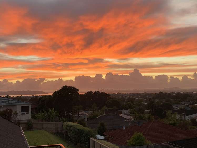 241 Royal Road Massey_6