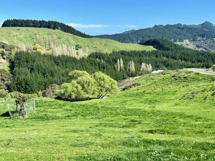 Lot 6 DP 409779 Gaddums Hill Road Outer Kaiti_10