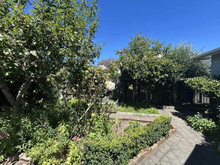 1/68 Tasman Street The Wood_12