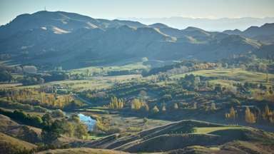 1387 Tuki Tuki Road_4