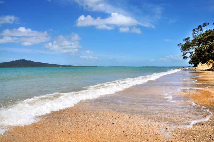 26 Merani Street Narrow Neck_16