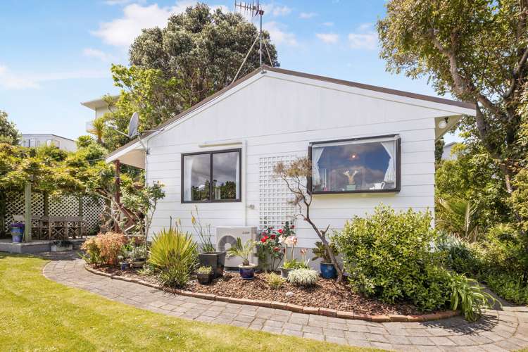 50a Overtoun Terrace Hataitai_21
