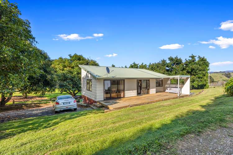 342 Youngson Road Whakamarama_20