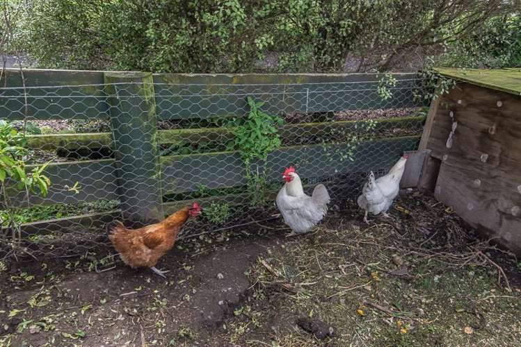 53 Ratanui Road Paraparaumu_19