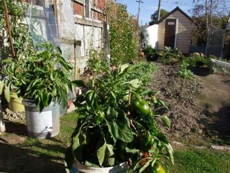 15 Ajax Street Milton_8