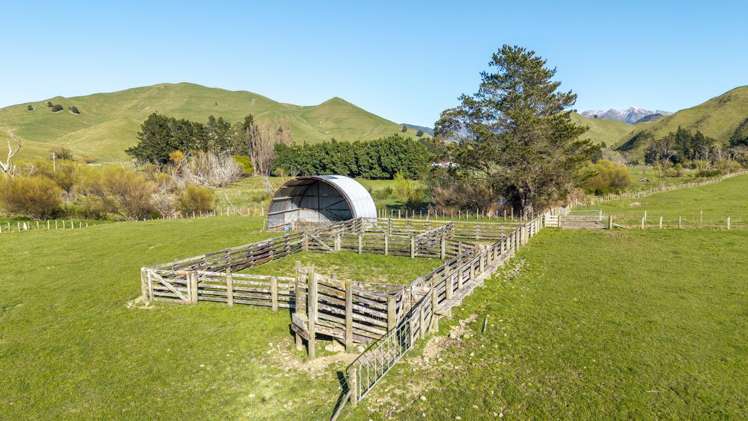 Mikimiki Road Masterton_15