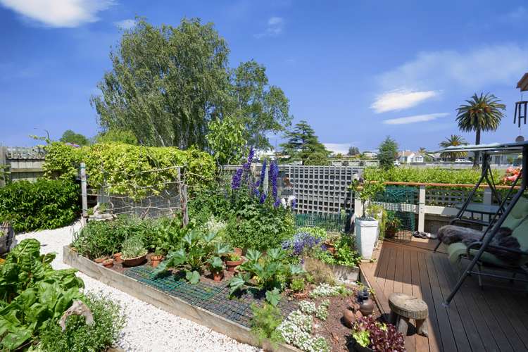 48 Georges Drive Napier South_16