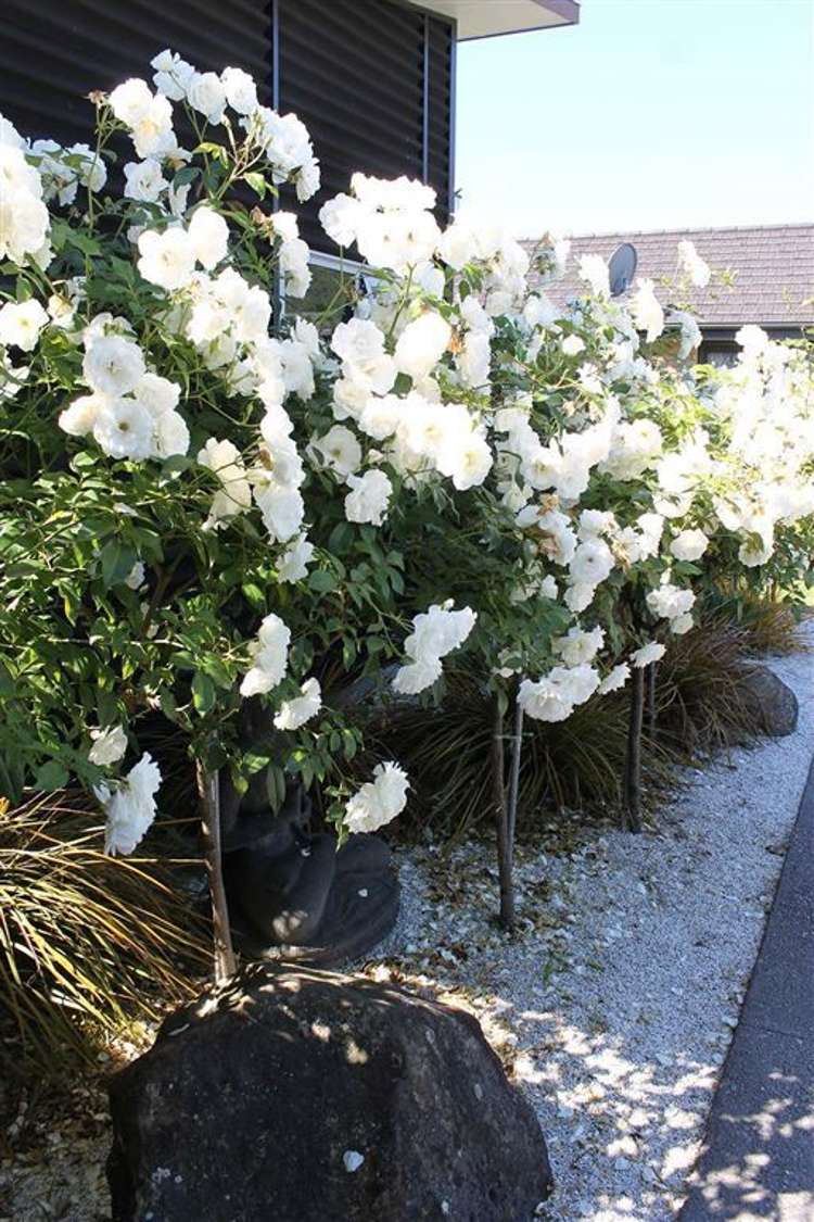 7 Sunrise Place Te Aroha_27