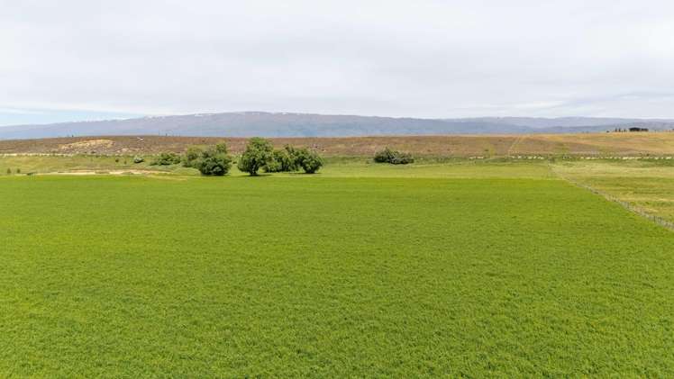 57 Golden Road Alexandra_39