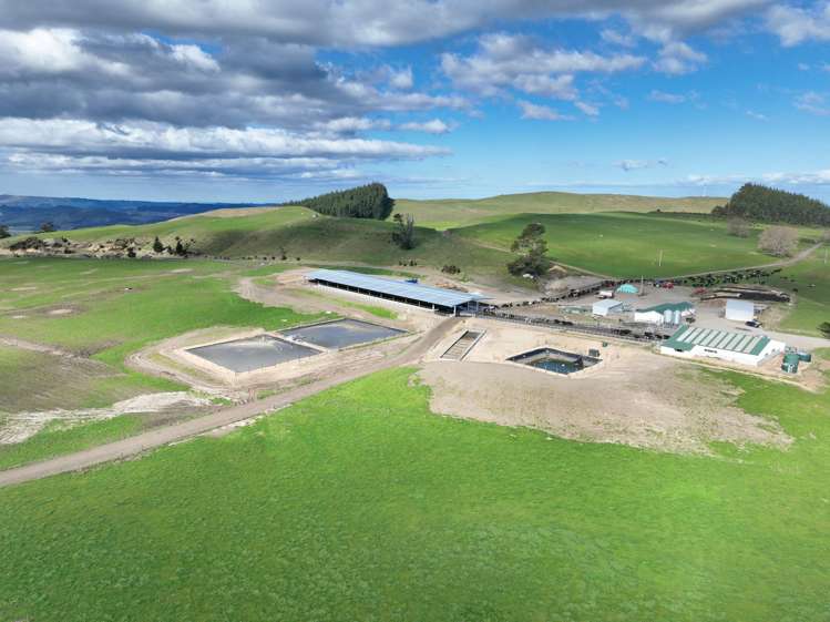 3986 Puketitiri Road Patoka_12