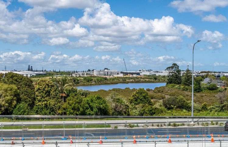 186 Ti Rakau Drive Pakuranga_10