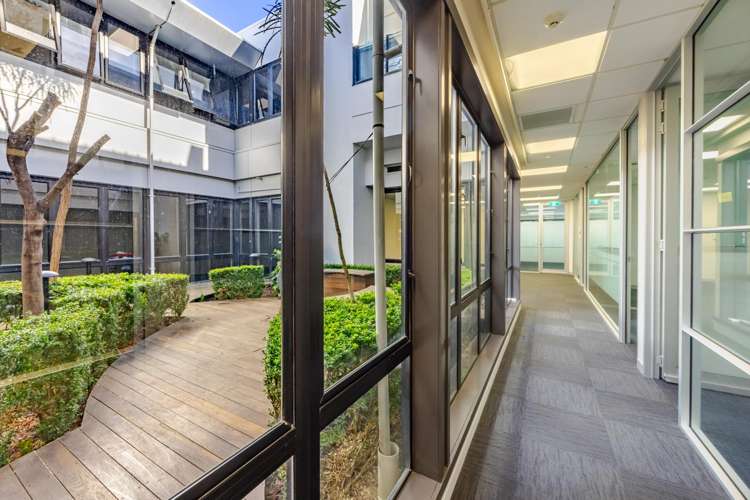 19-25 Bower Street Napier Cbd_15