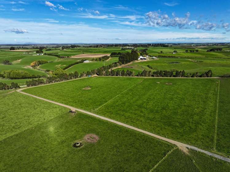 539. Mataura Island Fortrose Road Pine Bush_12