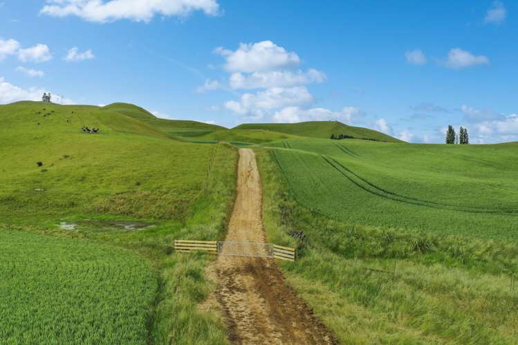 70 Finlay's Road Windsor_12