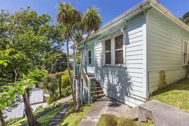 209 Aro Street Aro Valley_1