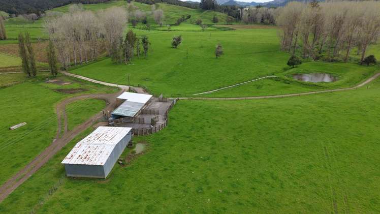 3675 Mangakahia Road Pakotai_15