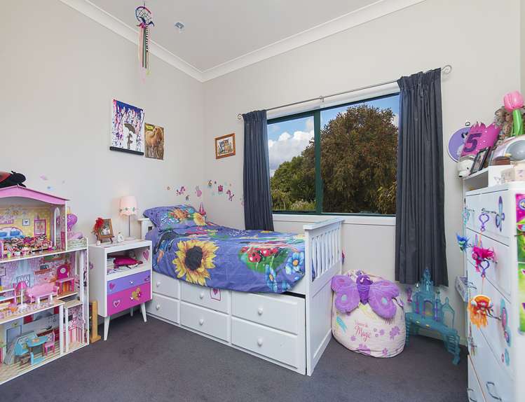 491 Morrison Road Pukekawa_6