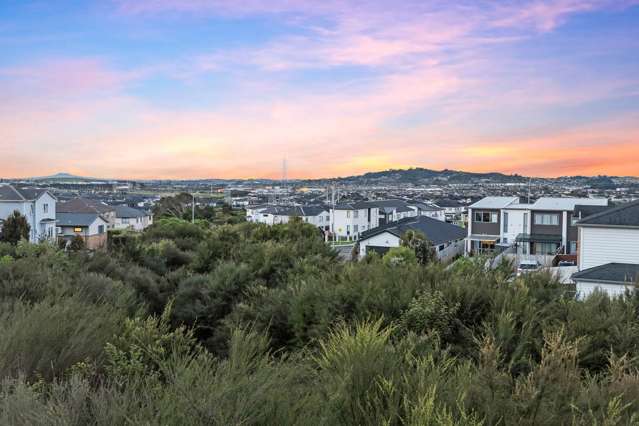 Spacious living in Flat Bush