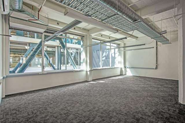 15 Allen Street Te Aro_1