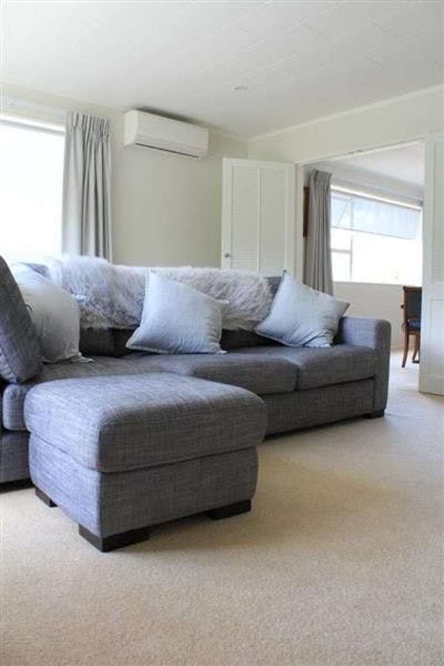 123 John Sims Drive Johnsonville_1