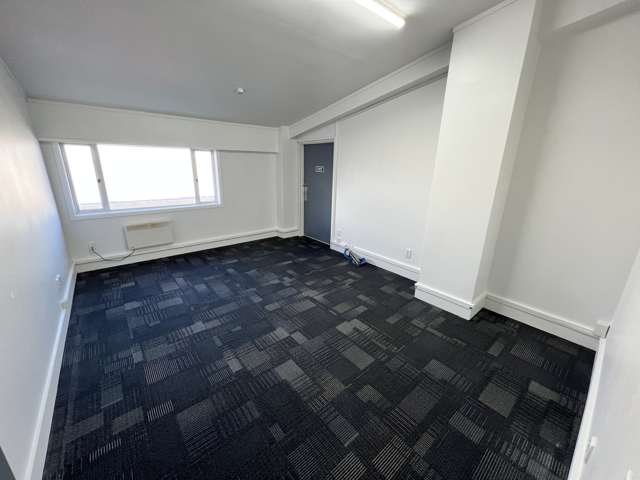 15 Te Puni Street Petone_3