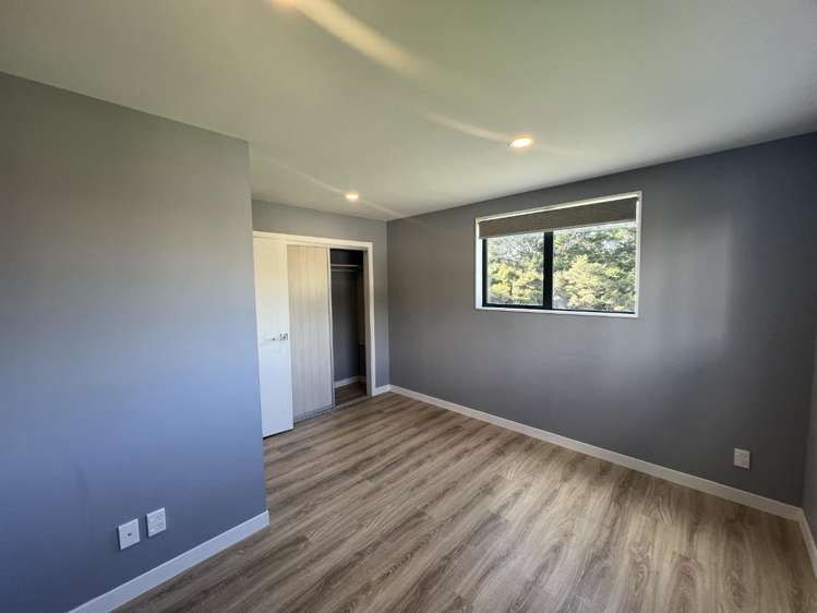 41 Waka Street Albany Heights_9