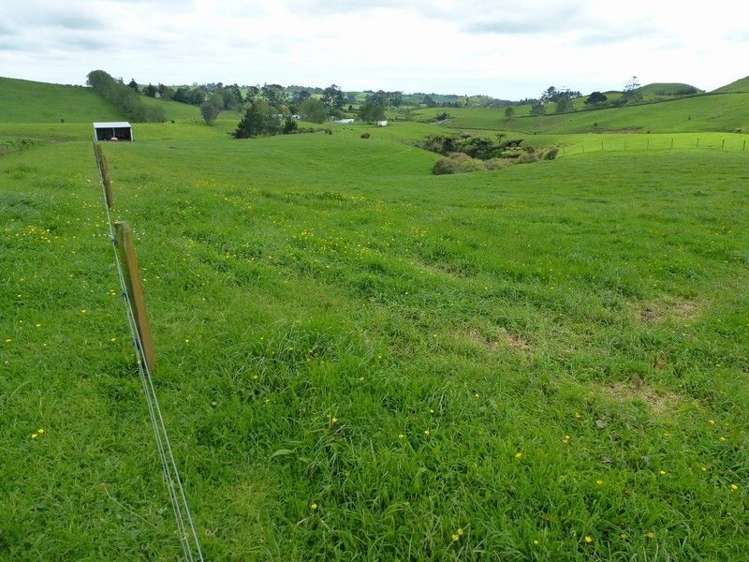 1265 Mountain Road Inglewood_28