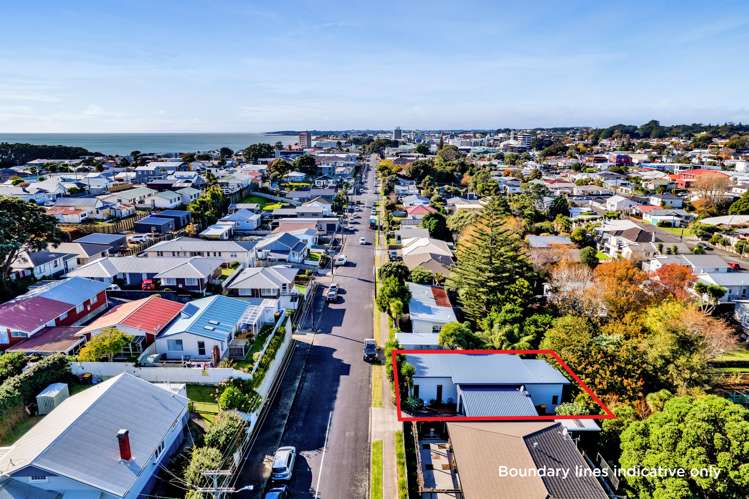 113 Young Street New Plymouth Central_20