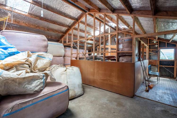 1766 Kahutara Road Kahutara_31