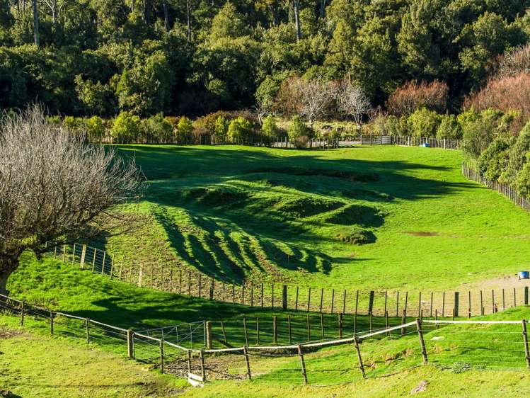 5785 Turakina Valley Road Hunterville_9