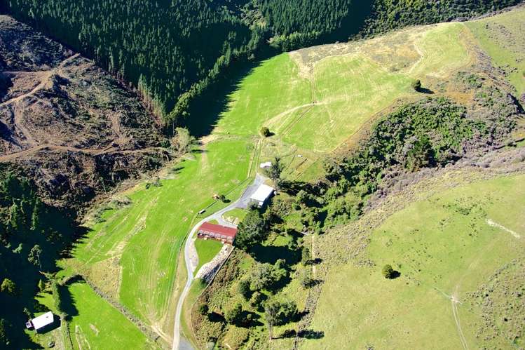 73 Fegan Road Milton_17