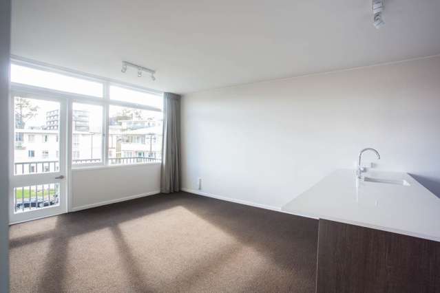 Spacious 2 Bedroom, Full Size Kitchen in the Heart of Parnell