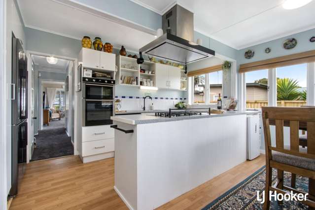 103a Parry Palm Waihi_2