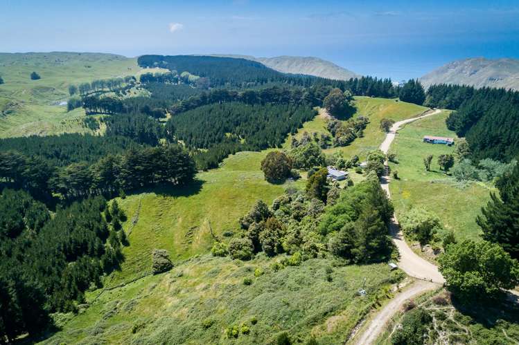 1447 Ridgemount Road Tutira_19