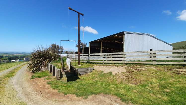 183 Gunn Road Waitepeka_16