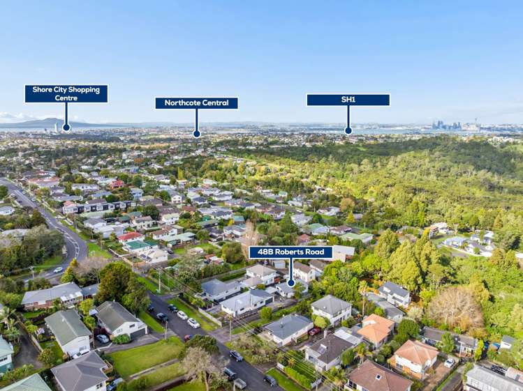 48B Roberts Road Glenfield_16